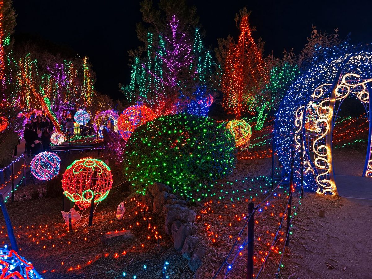 Trees, shrubs and an archway covered in colorful Christmas lights along a path at the Cambria Christmas Market
